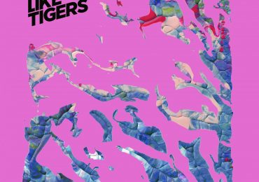 Talk Like Tigers