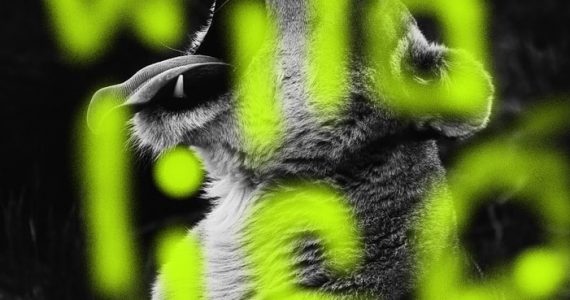 Marq Electronica, Wildlife