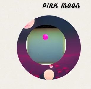 Pink Moon