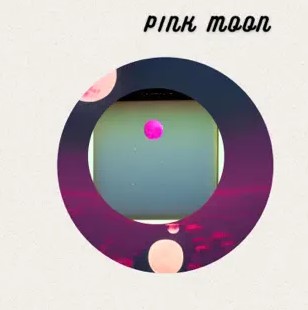 Pink Moon