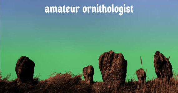 Amateur Ornithologist