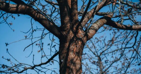 To Own Both Nothing and the World, BALTIC Gateshead