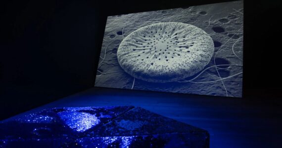 For All at Last Return, BALTIC Gateshead