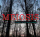 Meiosis