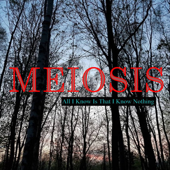 Meiosis